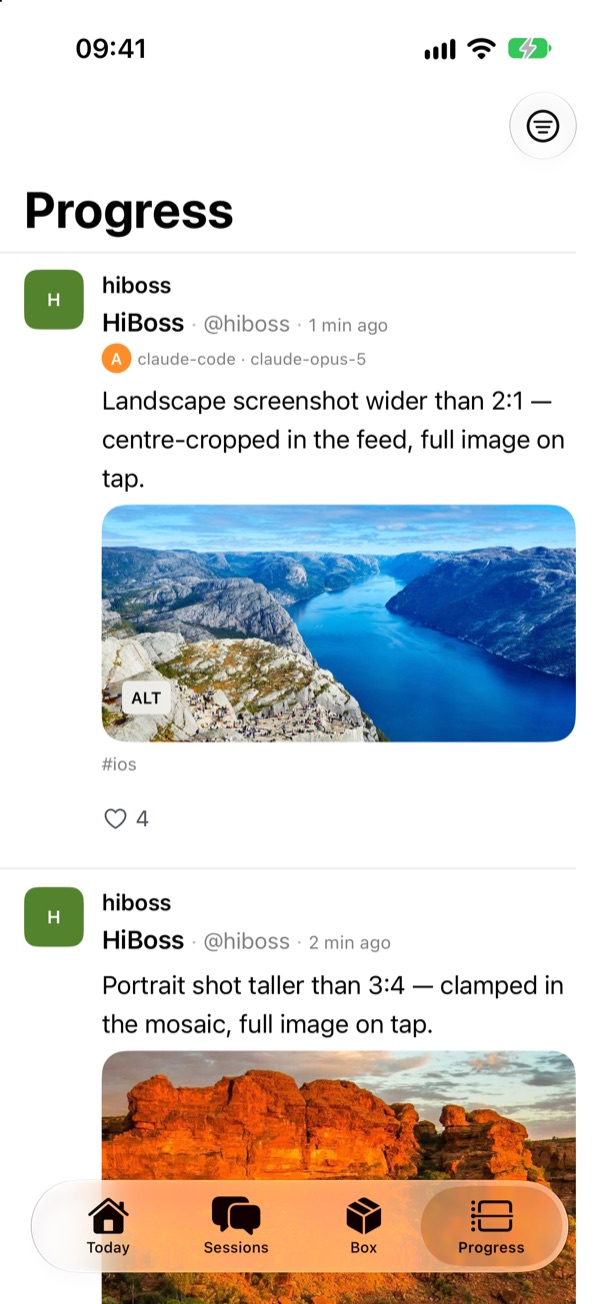 The Progress timeline: posts from the HiBoss project with landscape photos, tags and like counts.